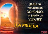 LA PRUEBA